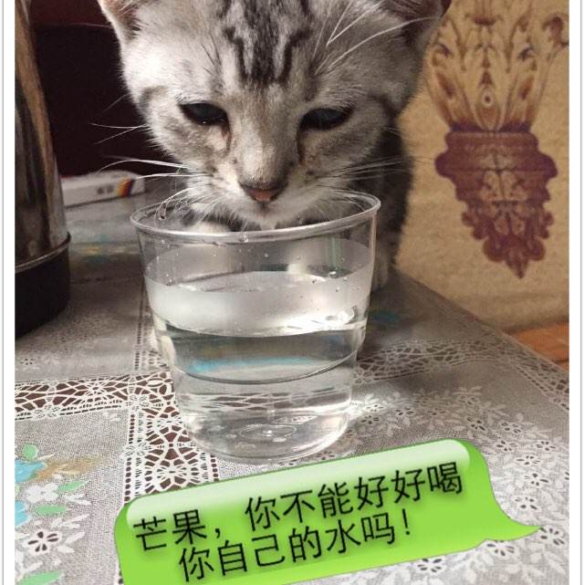 哪里能办南渥克学院文凭毕业证